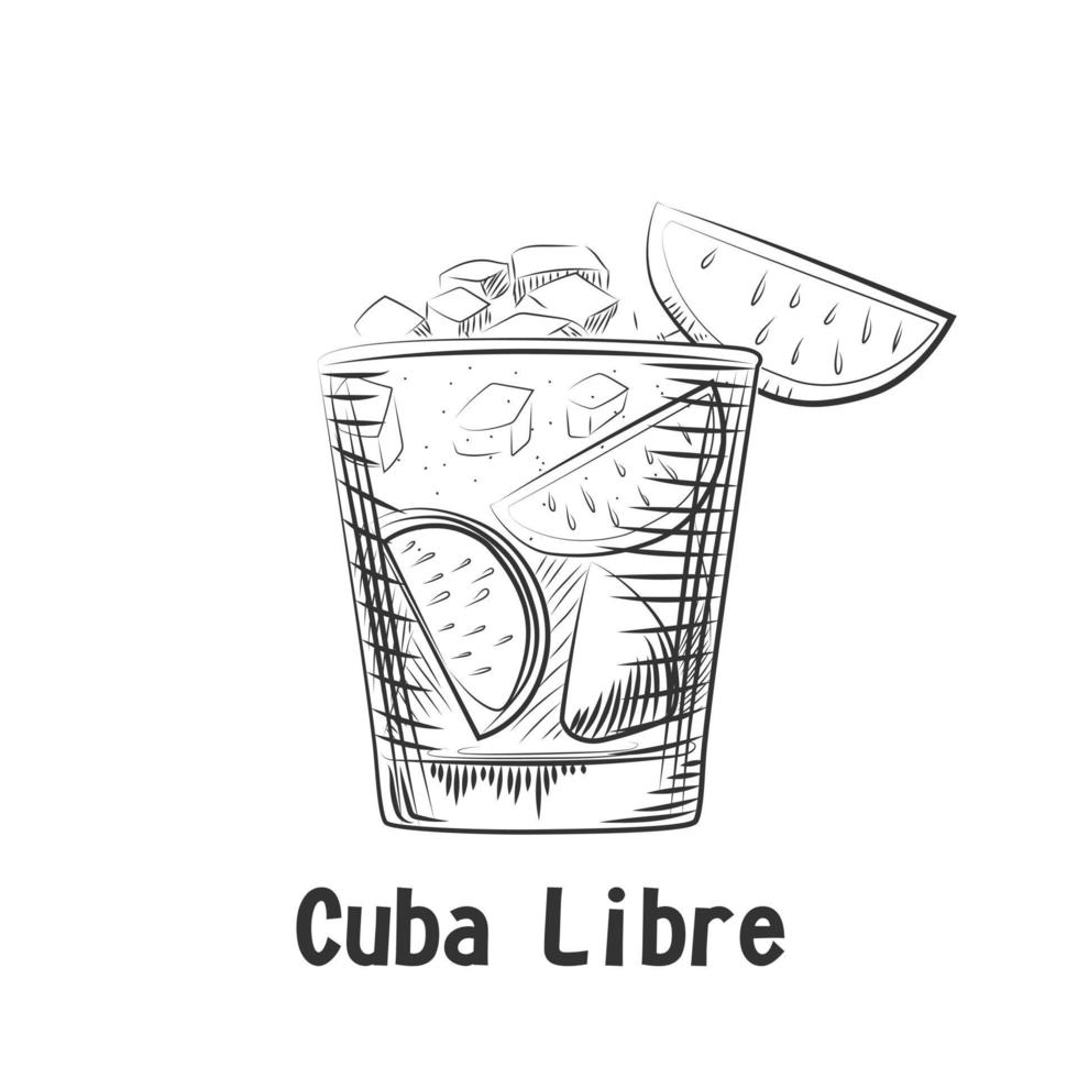 Hand drawn sketch cocktail Cuba libre. Isolated coctail vector