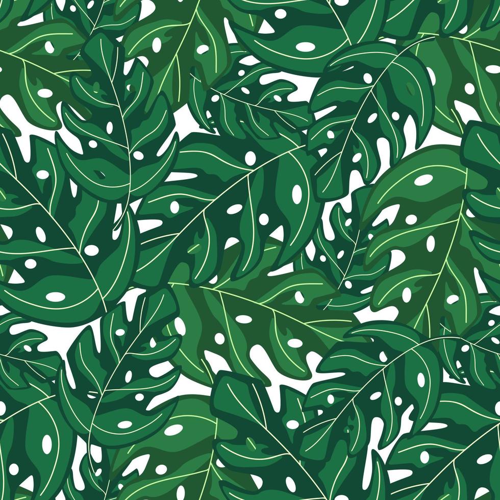 monstera tropical deja un patrón de repetición sin costuras. planta exótica. vector