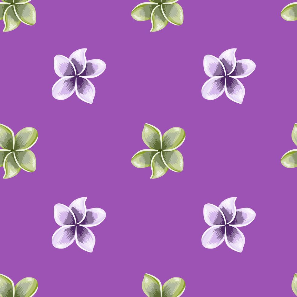 purple hawaiian flowers background