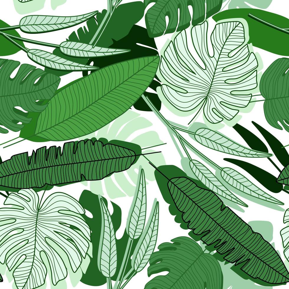 patrón sin costuras de hoja de palma de la selva sobre fondo blanco. hojas de palmeras tropicales exóticas modernas vector