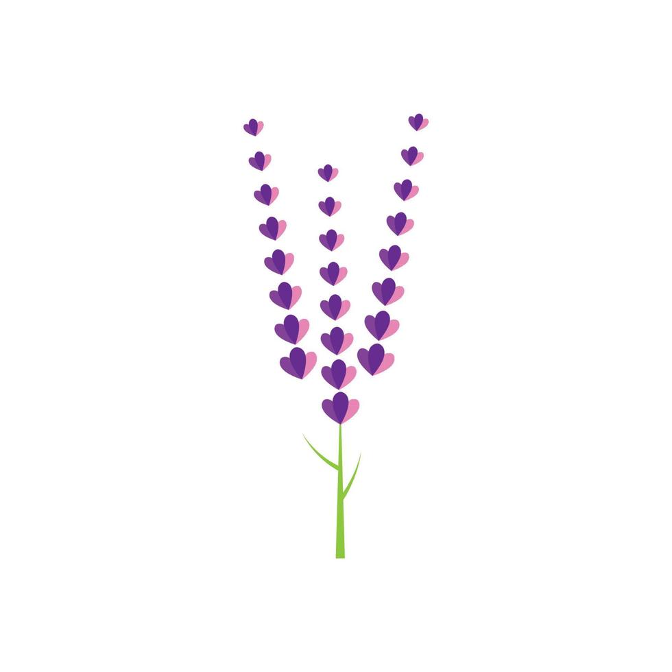 Fresh Lavender flower logo vector flat design