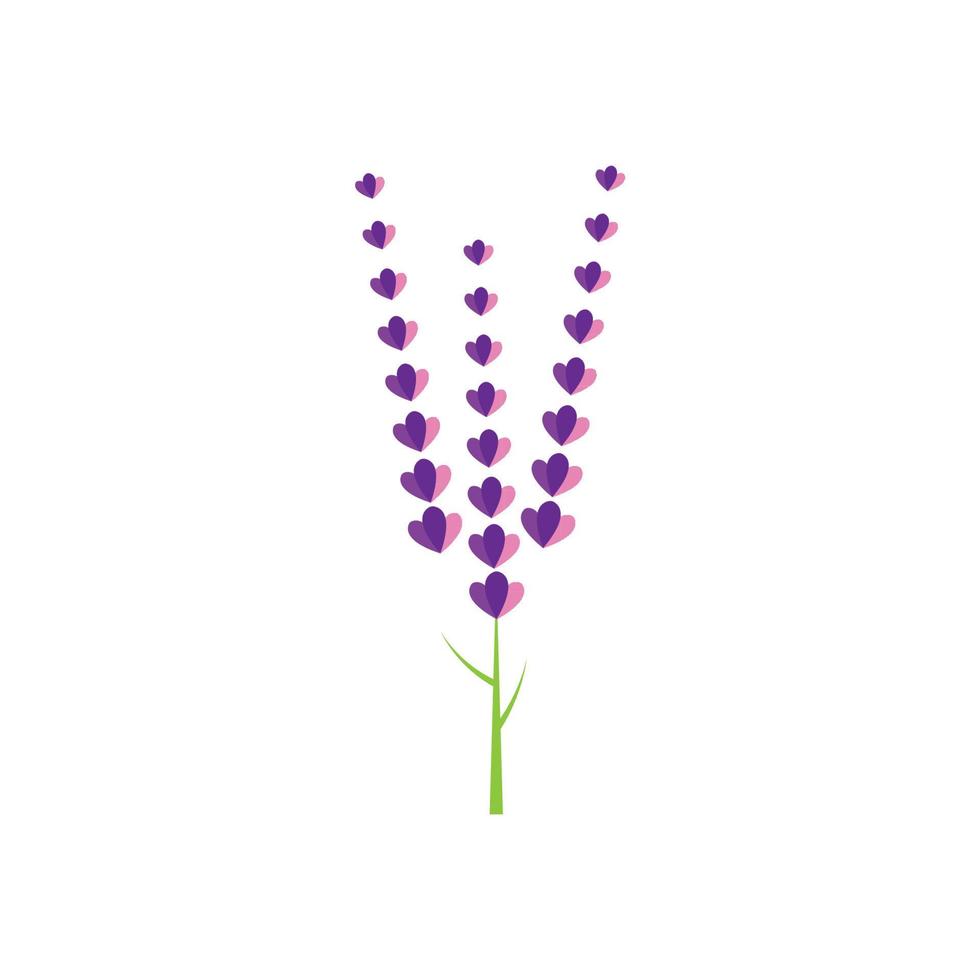 diseño plano de vector de logotipo de flor de lavanda fresca