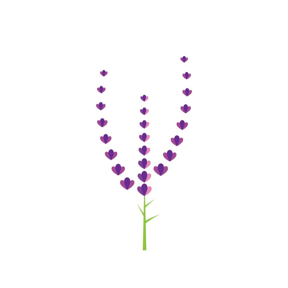 diseño plano de vector de logotipo de flor de lavanda fresca