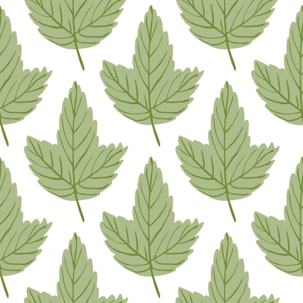 Autumn fall leaves seamless botanic pattern. Isolated nature green foliage backdrop. vector