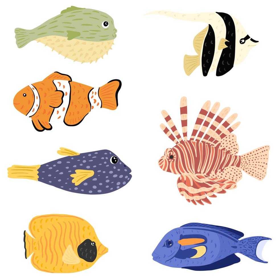 establecer peces de arrecife aislado sobre fondo blanco. pescado diferente globo, pez león, ídolo moro, payaso, cirujano, mariposa. vector