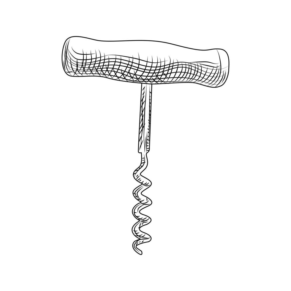 Hand drawn Corkscrew. Engraving style. Isolated objects vector