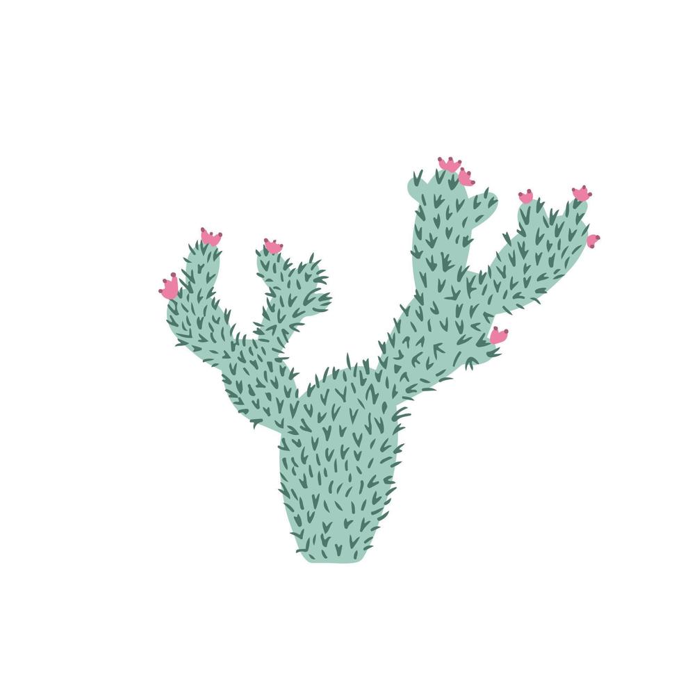 Cactus in doodle style. Cute prickly green cactus. Cacti flower isolated on white background. vector