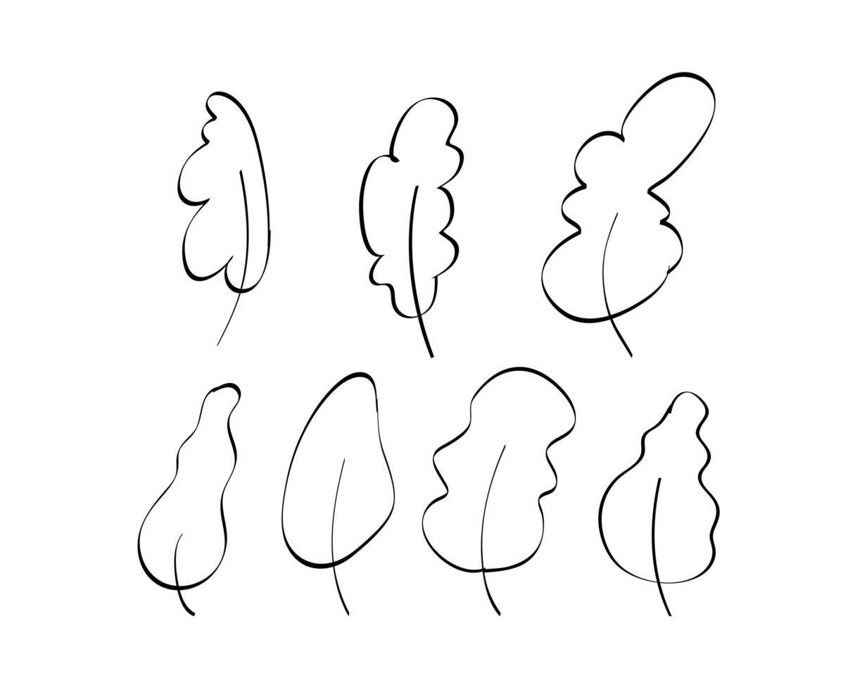 A set of hand-drawn leaves. Elements for the design of postcards, books, menus or advertising. Isolated on white background. Vector illustration.