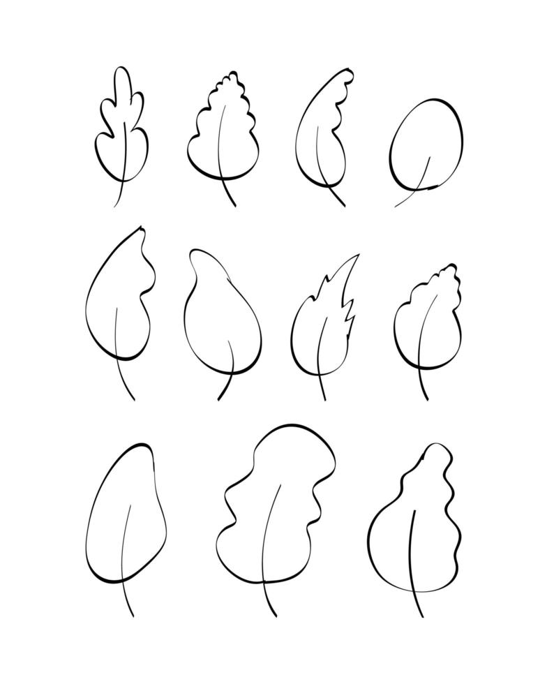 Set of hand-drawn leaves in doodle style. Elements for the design of postcards, books, menus or advertising. Isolated. Vector