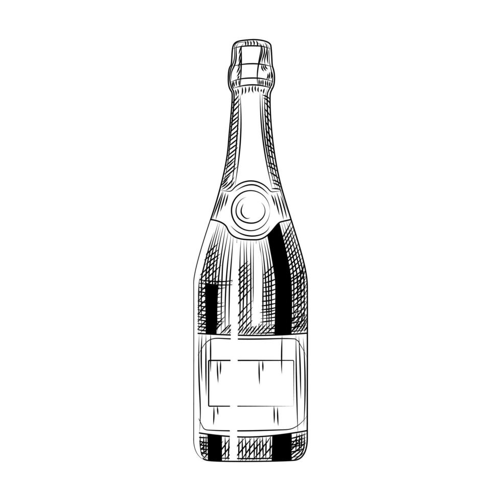 botella de champán dibujada a mano. vino espumoso aislado sobre fondo blanco. vector