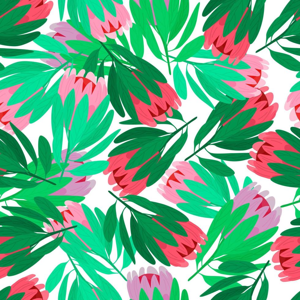 patrón natural sin costuras con elementos de flores protea rojas y rosas. telón de fondo aislado. hojas verdes. vector