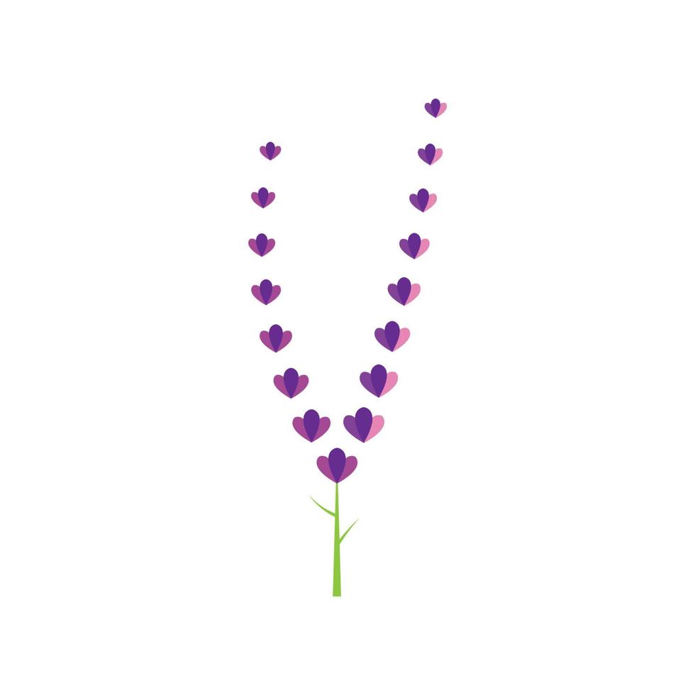 Fresh Lavender flower logo vector flat design