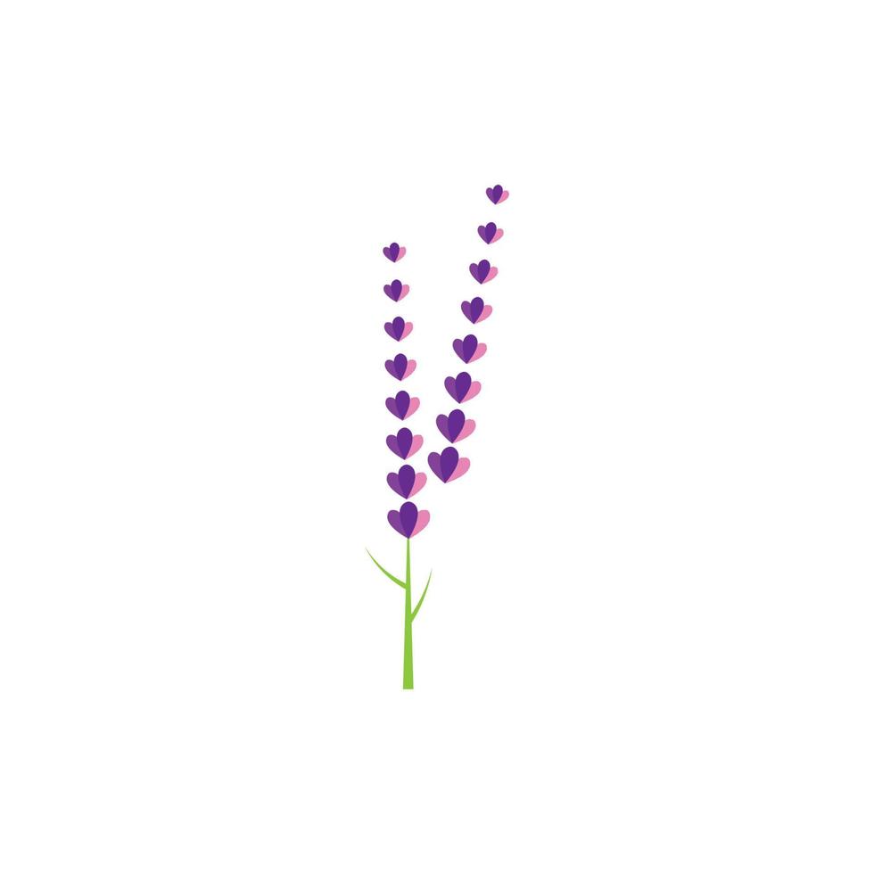 diseño plano de vector de logotipo de flor de lavanda fresca