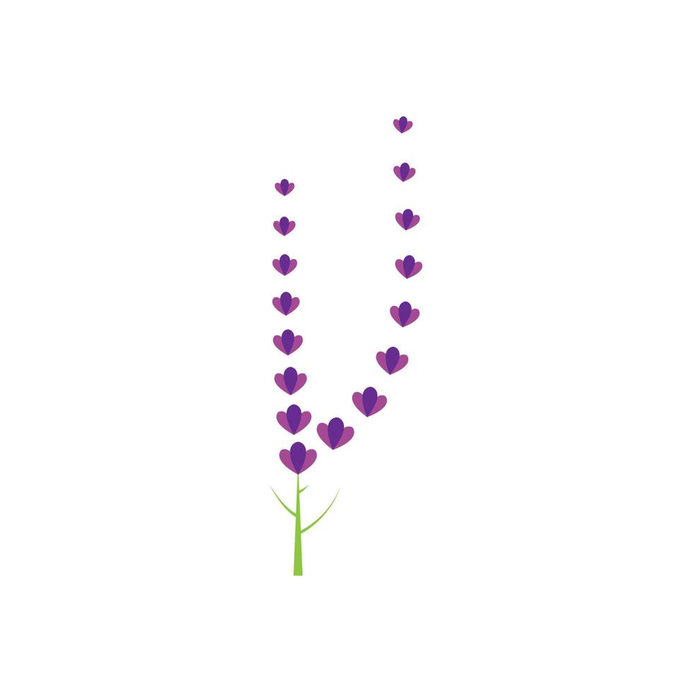 diseño plano de vector de logotipo de flor de lavanda fresca