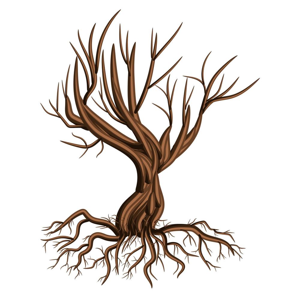 imagen vectorial aislada sobre fondo blanco. rama de árbol. rostock árbol.concepto. eps 10 vector