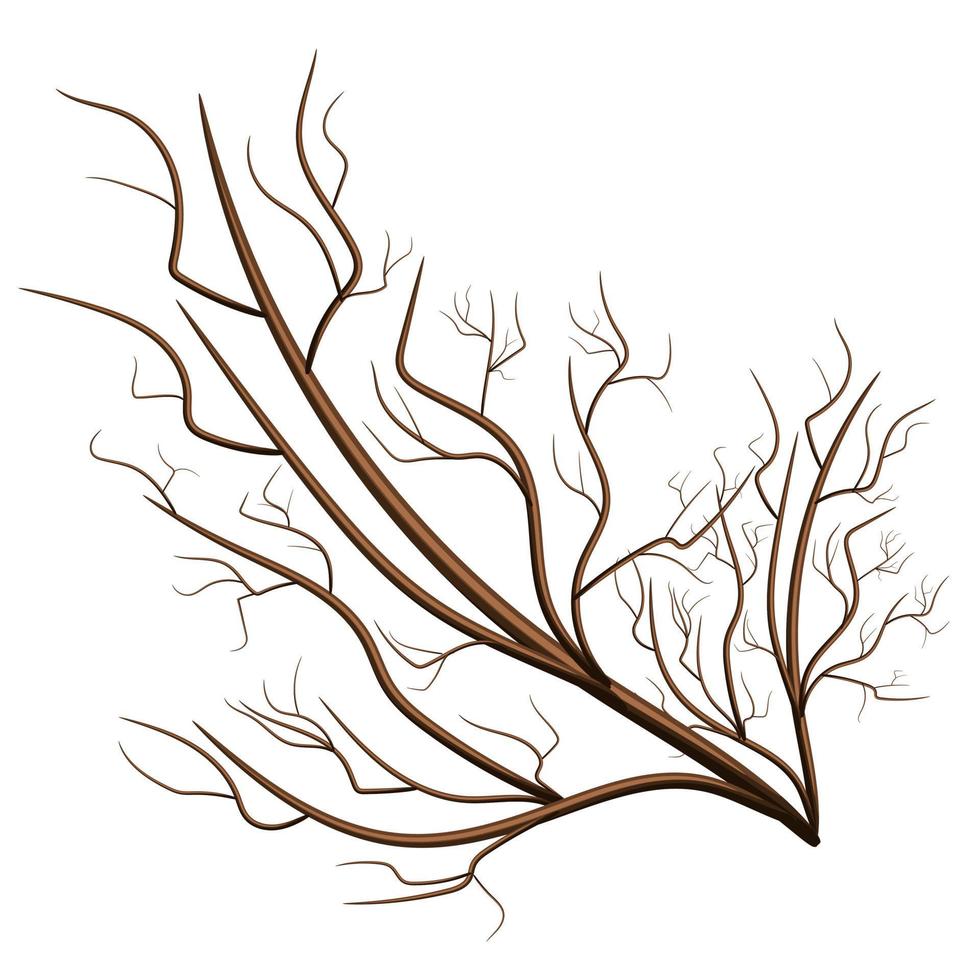 Vector image isolated on white background. Tree branch. Rostock. Tree.Concept. EPS 10