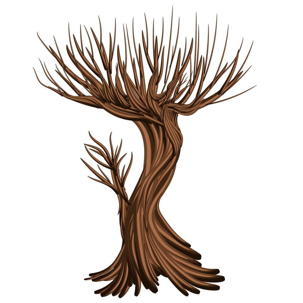 imagen vectorial aislada sobre fondo blanco. rama de árbol. rostock árbol.concepto. eps 10 vector