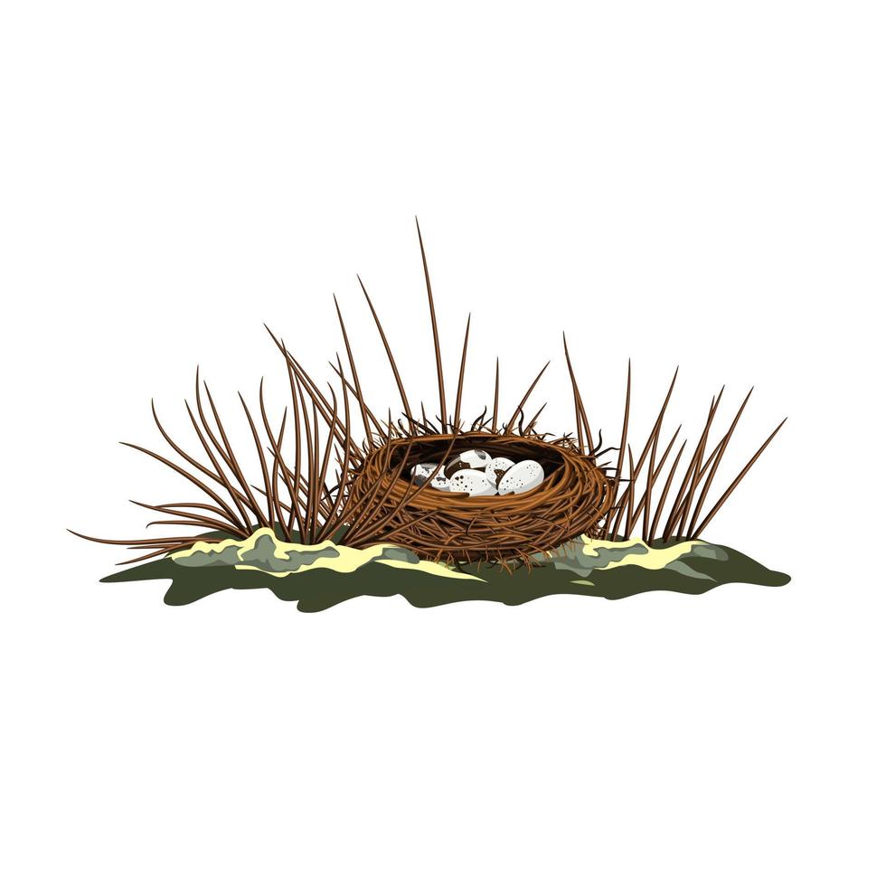 Vector image isolated on white background. A bird's nest in the branches of a bush or tree. Concept. EPS 10