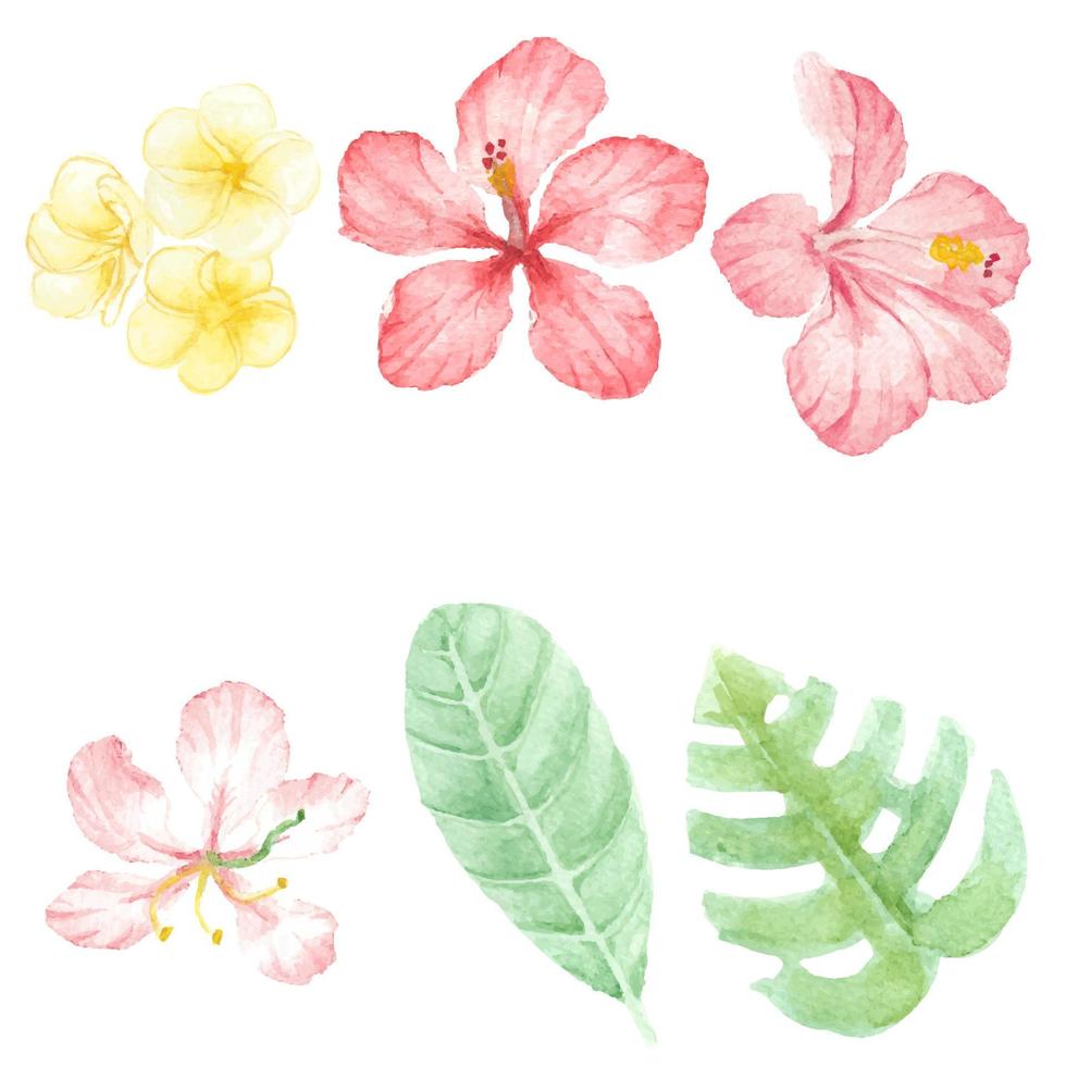 mano de acuarela dibujar colección de elementos de flor de hibisco rojo de verano vector