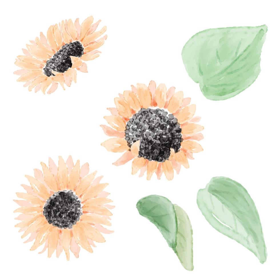 watercolor yellow sunflower bouquet elements collection vector