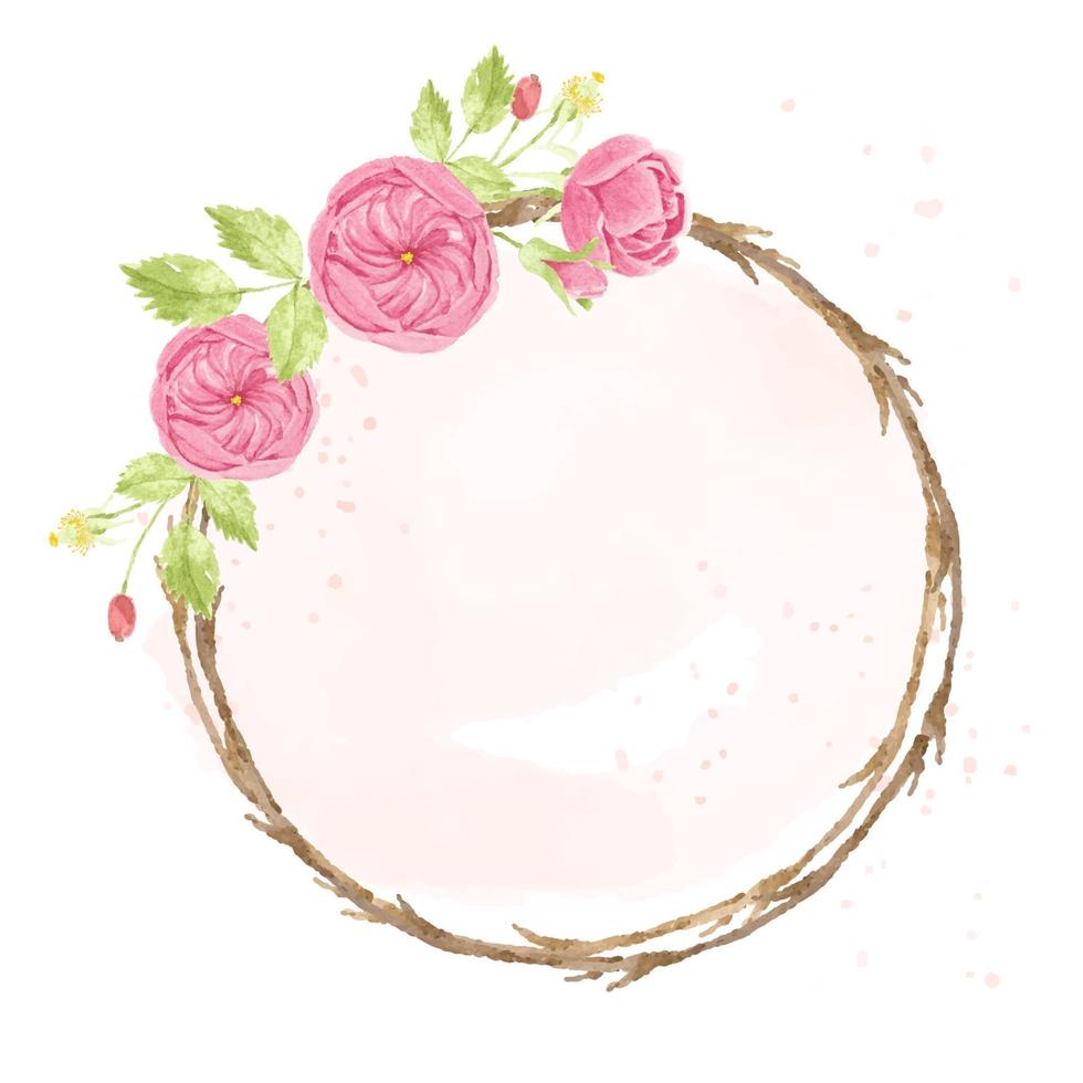 watercolor pink english rose with dry twig  wreath frame on pink splash background vector