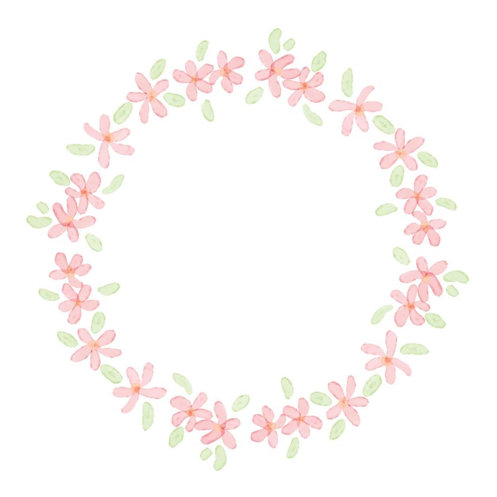 cute pink watercolor plmeria frangipani flower wreath frame vector