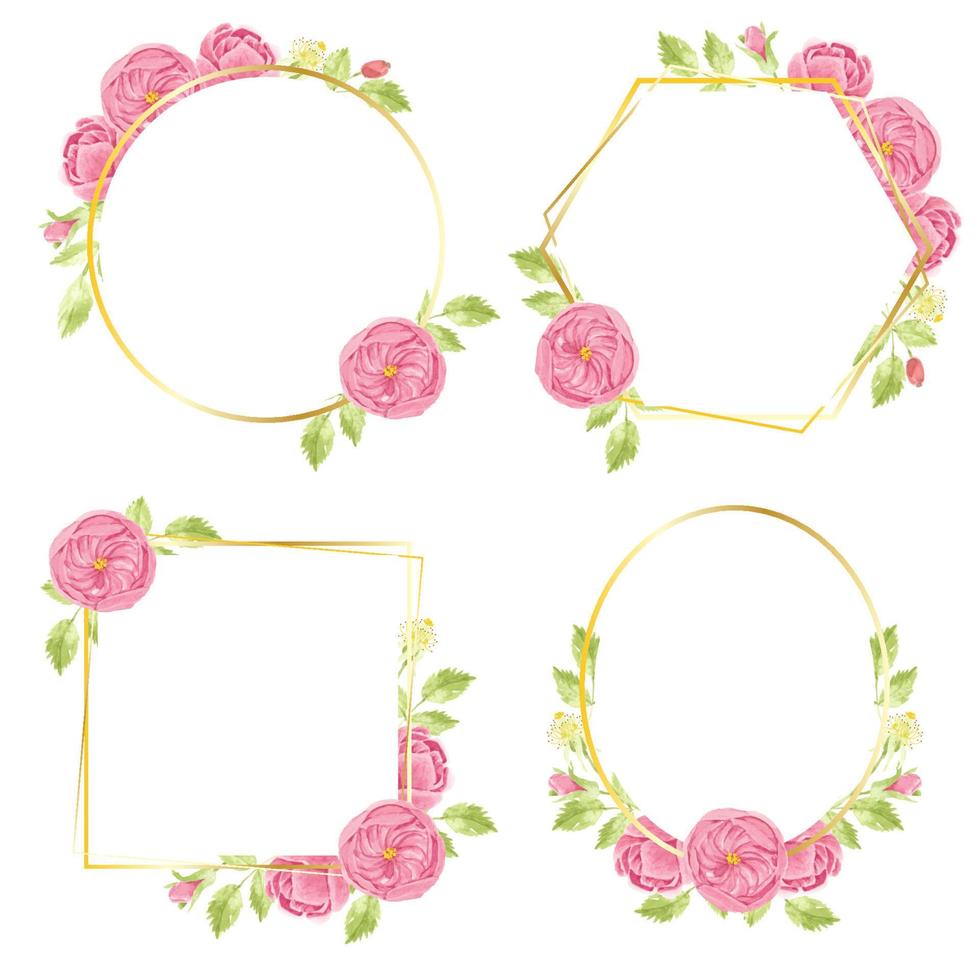 watercolor hand draw pink english rose wreath with geometric golden frame collection vector