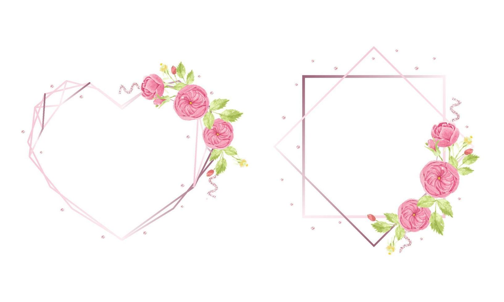 watercolor hand draw pink english rose wreath with geometric frame collection vector