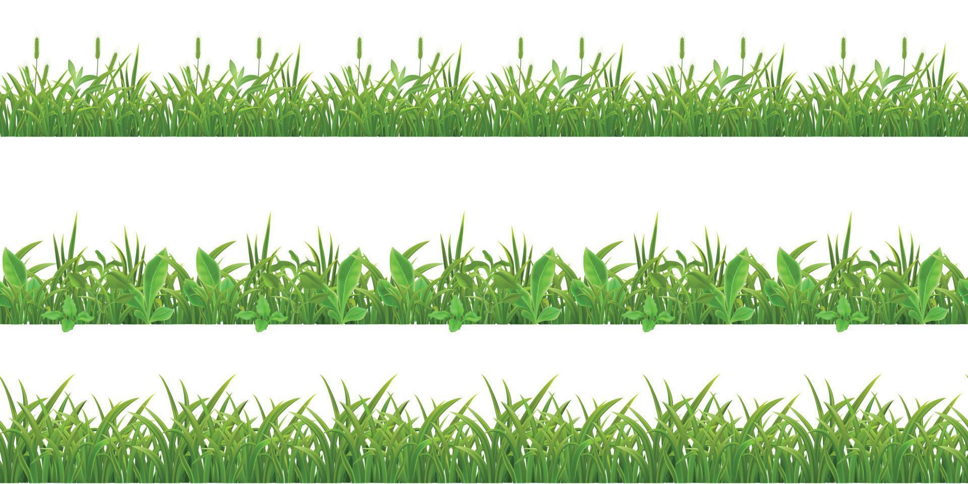 Grass Leaves Seamless Pattern vector