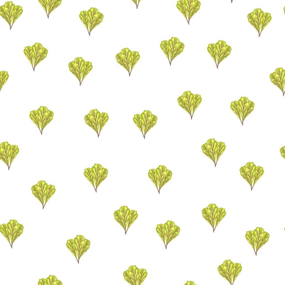 Seamless pattern bunch mangold salad on white background. Minimalism ornament with lettuce vector