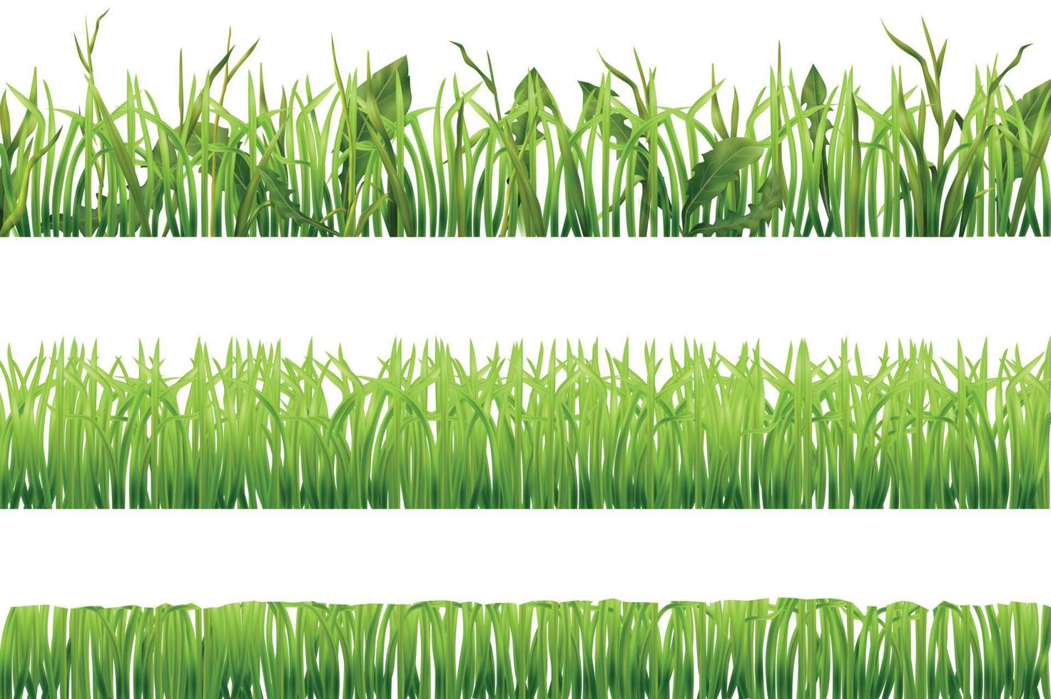 Realistic Grass Borders Set vector