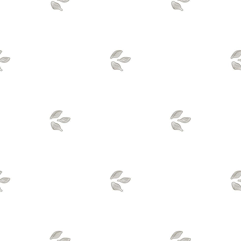 Seamless pattern cardamom on white background. Cute plant sketch ornament. Geometrical texture template for fabric. vector