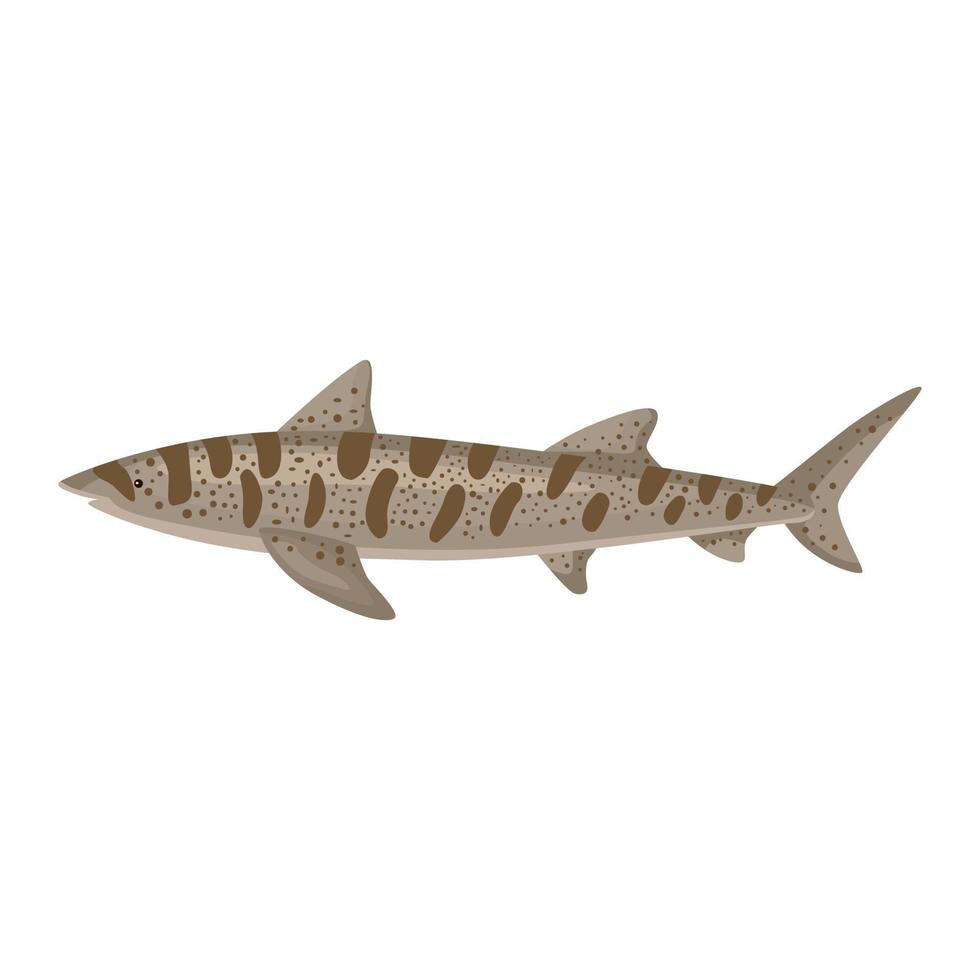 Leopard shark isolated on white background. Cartoon character of ocean for children. vector