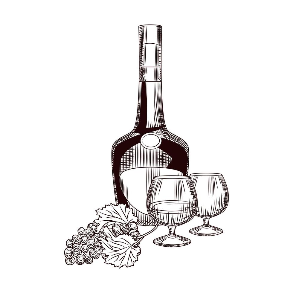 Hand drawn cognac bottle and bunch of grapes. Bottle of brandy and grapes sketch isolated on white background. vector