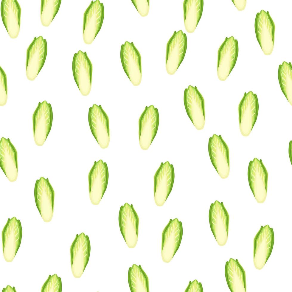 Seamless pattern Chicory cabbage on white background. Minimalism ornament with lettuce. vector