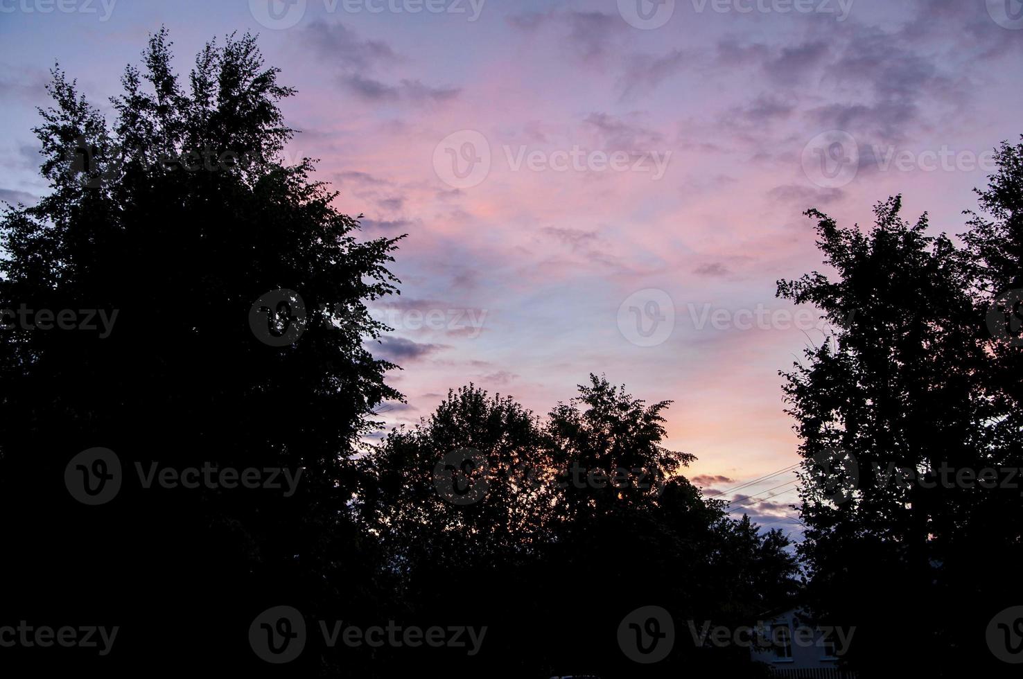 Evening sky pink sunset. photo