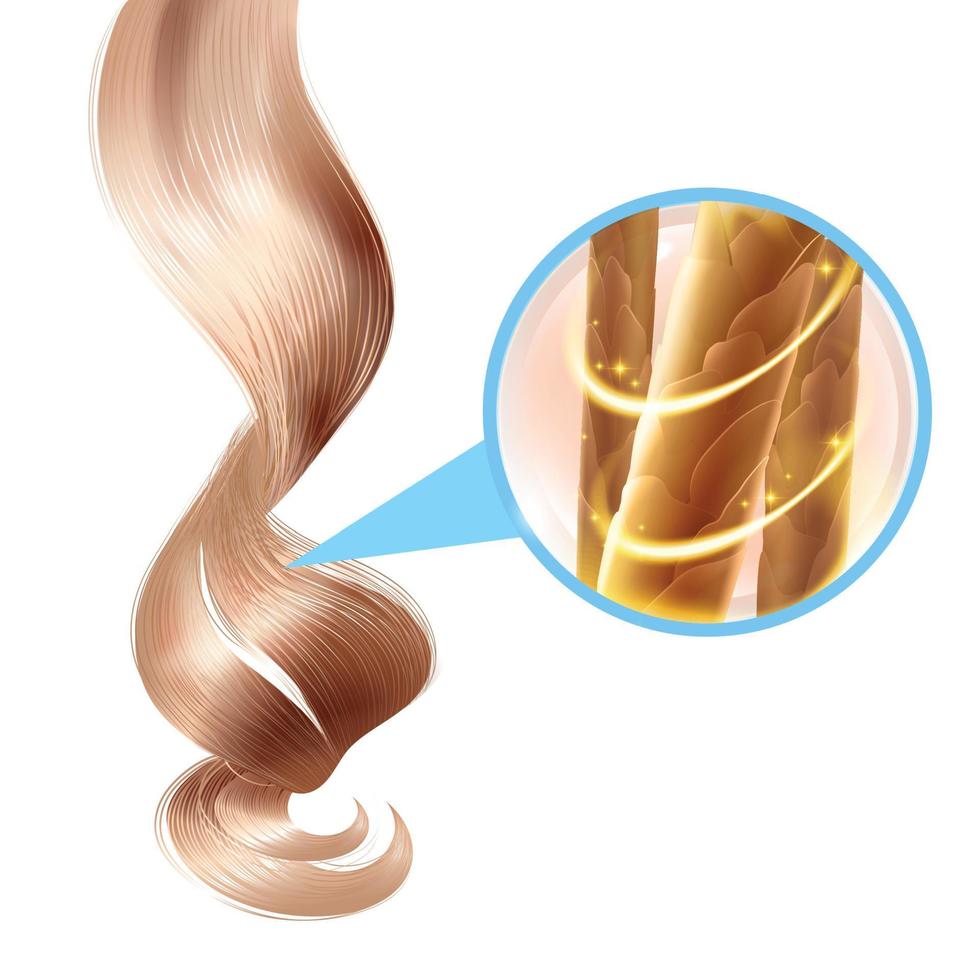 Strong Hair Composition vector