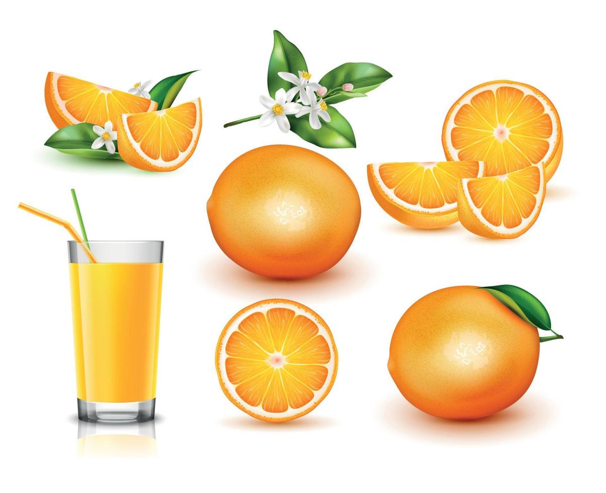 conjunto realista naranja vector