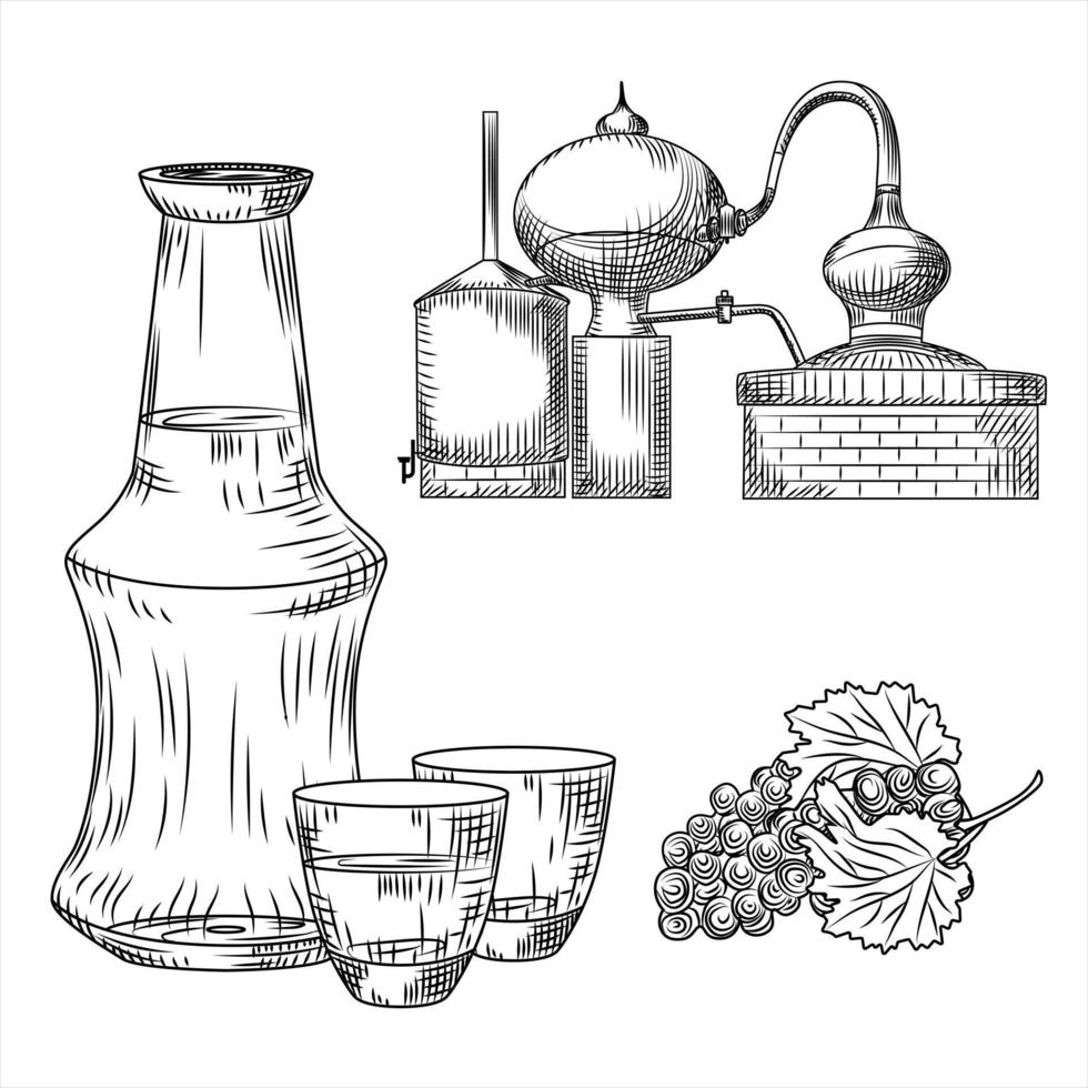 Set Tsipouro Greek alcohol on white background. Glass, bottle, grape, alembic. Engraving vintage style black outline. vector
