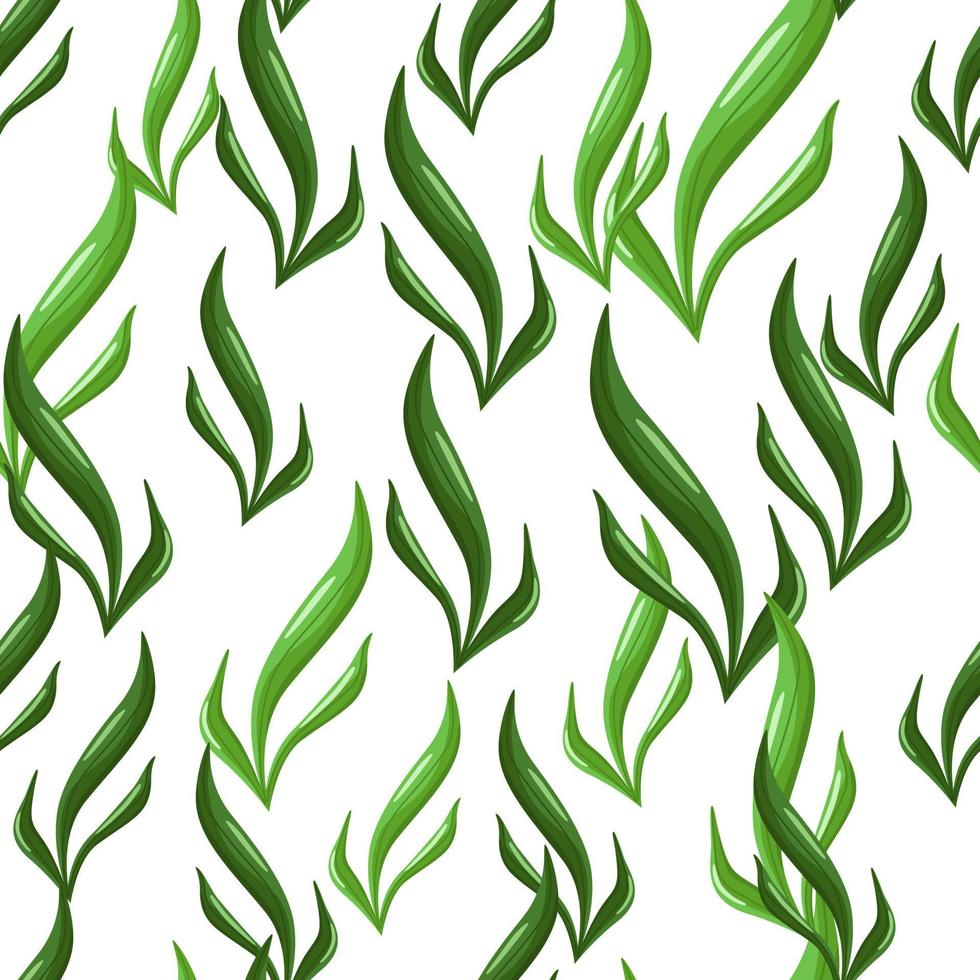 Seamless pattern seaweed on white background. Marine flora templates for fabric. vector