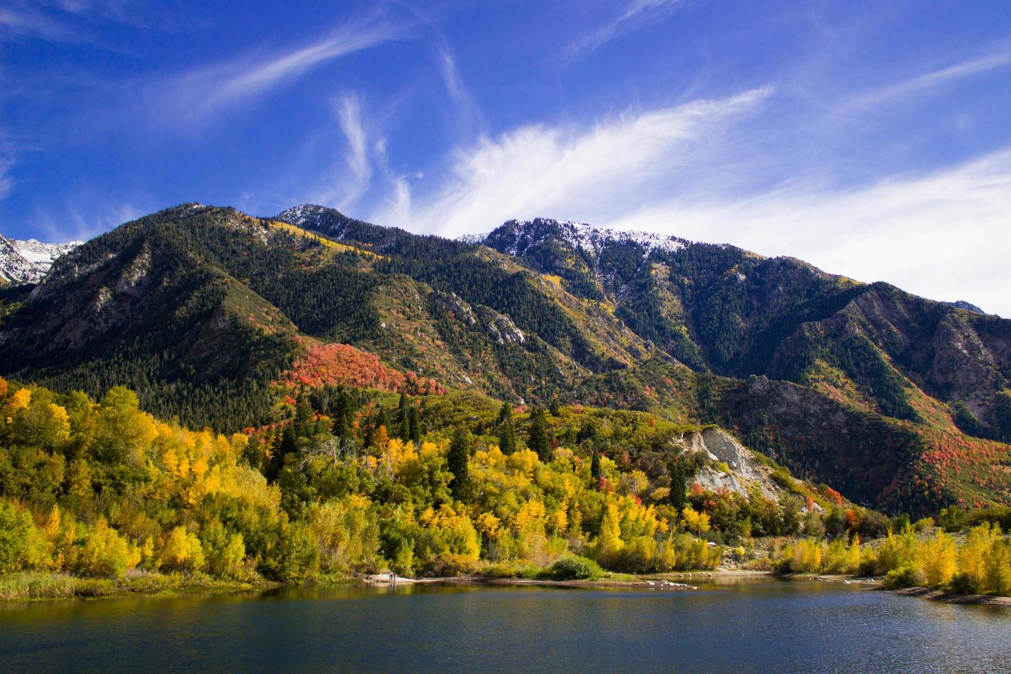 Bell Canyon Fall Leaves photo