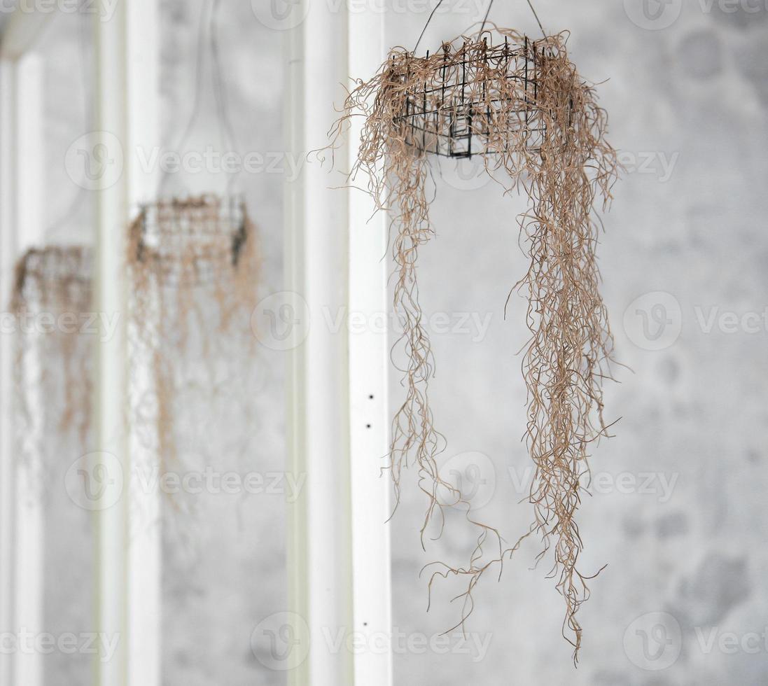 hierba seca para la decoración del hogar, concepto minimalista, estilo escandinavo foto