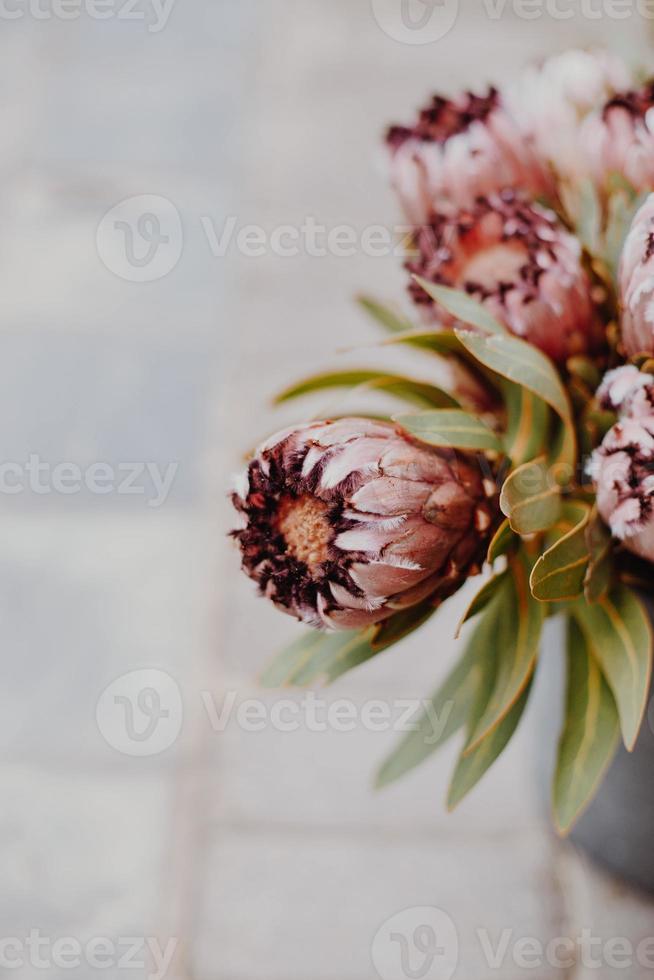 Pink Protea Bouquet photo