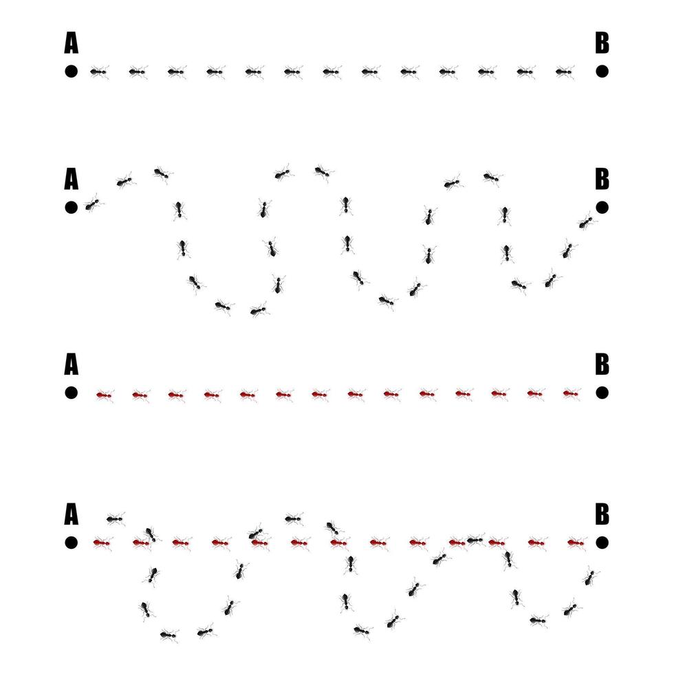 Establecer hormigas de seguimiento aisladas sobre fondo blanco. columna de hormigas rojas y negras caóticas corriendo en señales de mapeo. vector