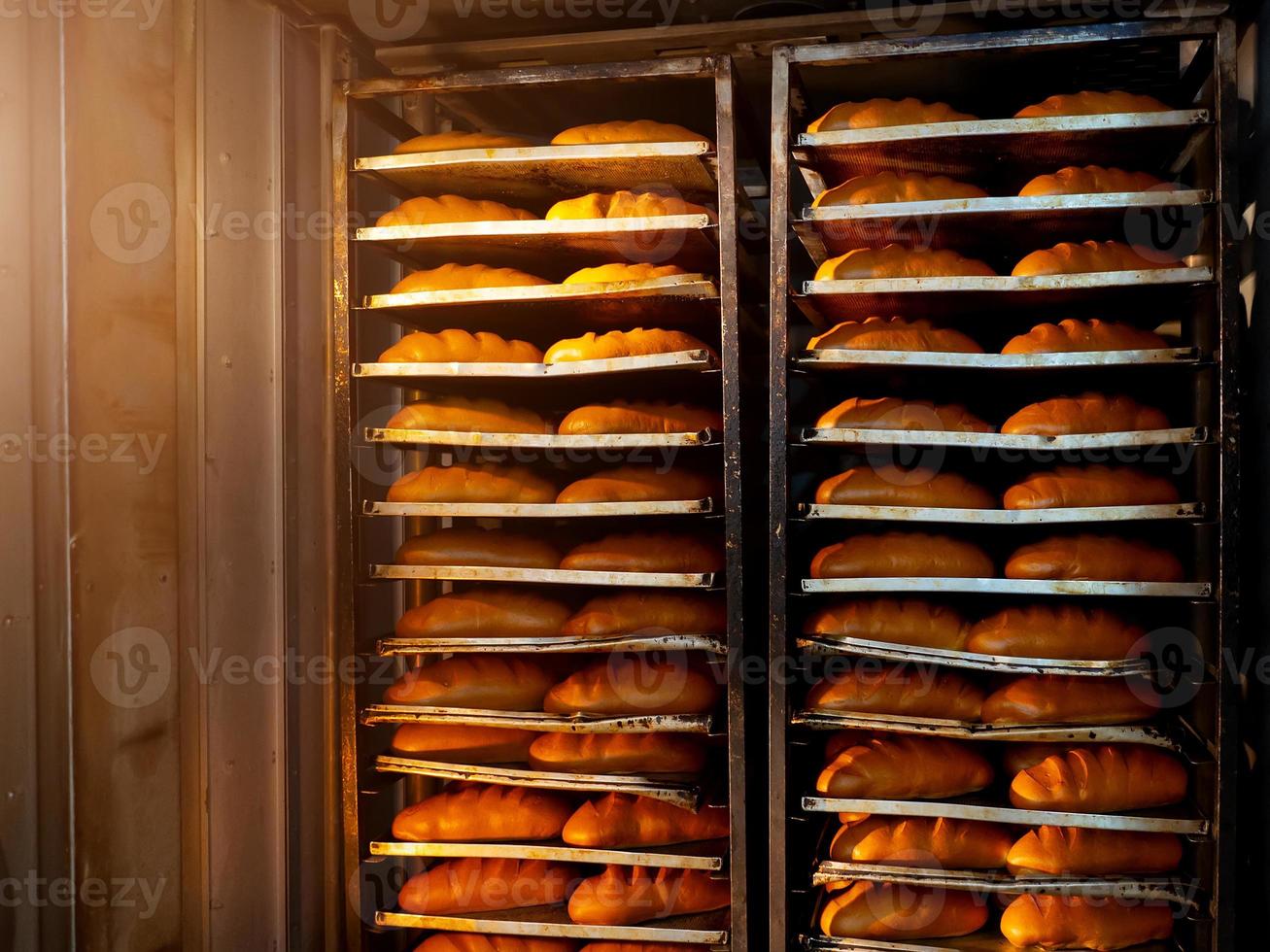 protwini with baguettes baked in the oven photo