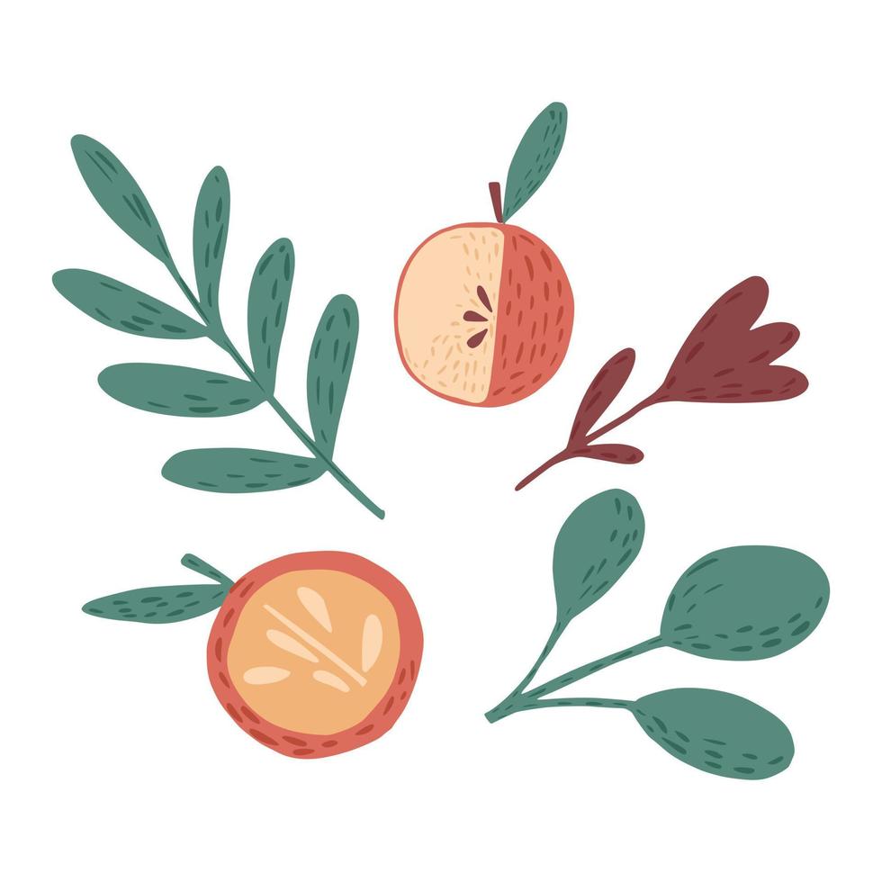 composición de manzanas, ramitas y flores sobre fondo blanco. boceto botánico escandinavo dibujado a mano en estilo garabato. vector