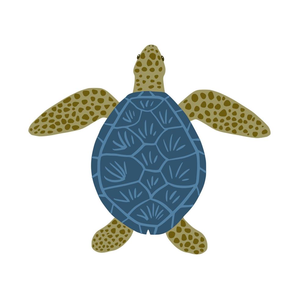 tortuga acuática aislada sobre fondo blanco. linda tortuga de personaje de dibujos animados. vector