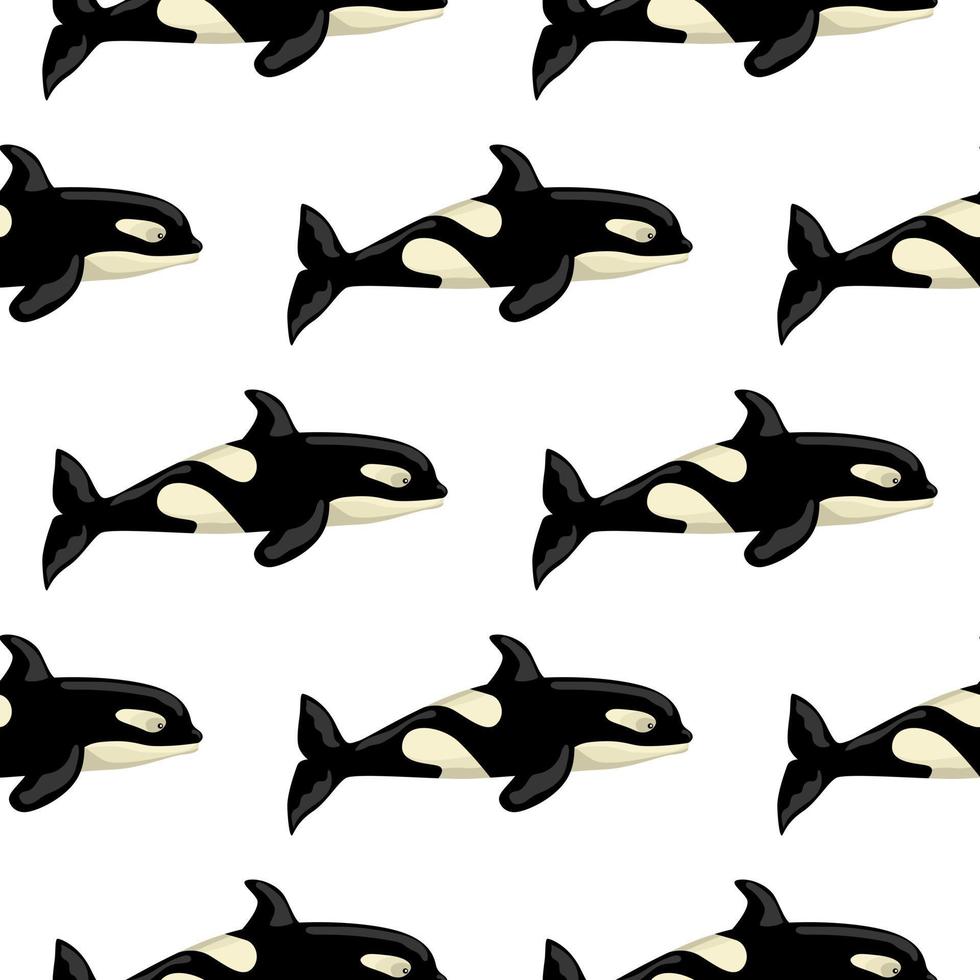 Seamless pattern Orca on white background. Template of cartoon character of ocean for children. vector