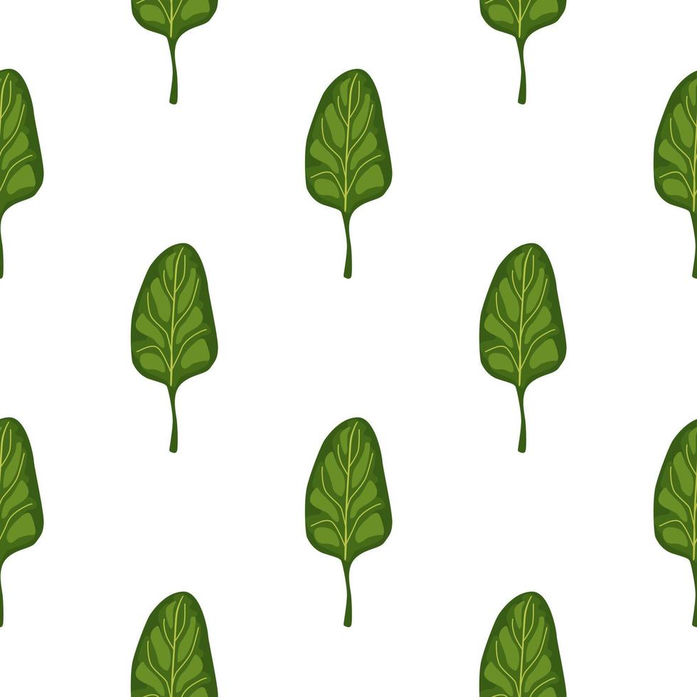 Seamless pattern Spinach salad on white background. Minimalistic ornament with lettuce. vector