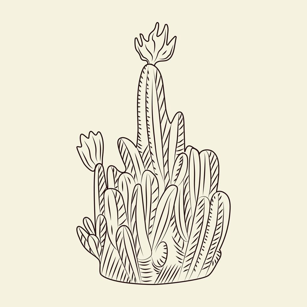 Wild cacti sketch. Parodia cactus isolated on light background in hand drawn style. vector